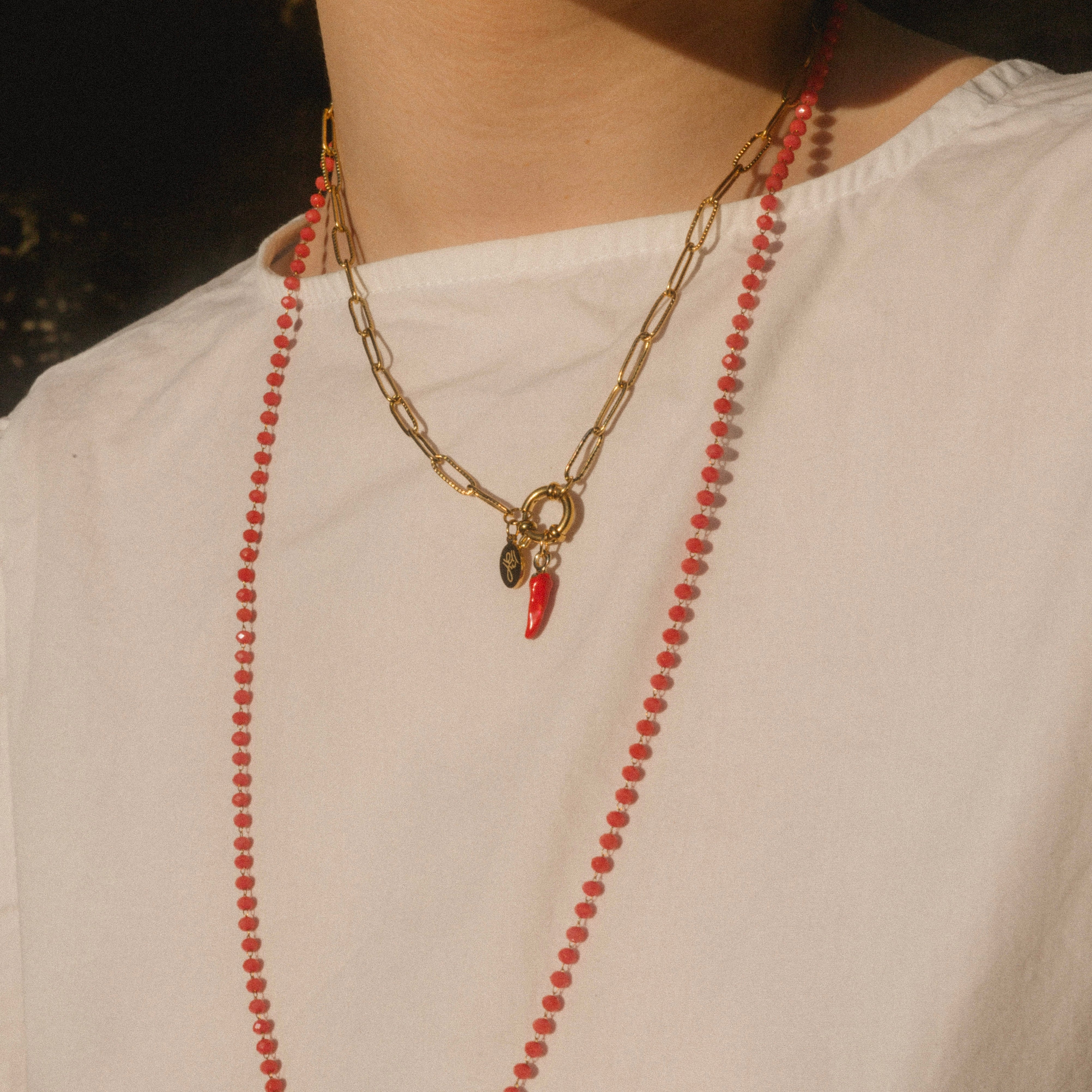 SPICY | Collier Charm